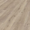LAMINÁT DUB TREND GREY 7/31 CLIC