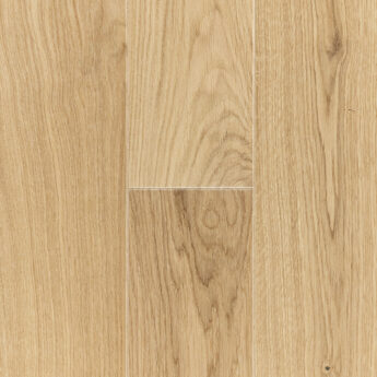 DUB 1L BERGEN NATURAL KRT BÍLÝ OLEJ 4Vm 5Gc