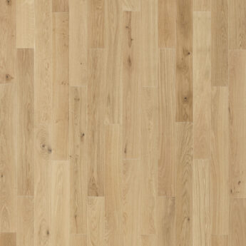 DUB 1L BERGEN NATURAL KRT BÍLÝ OLEJ 4Vm 5Gc