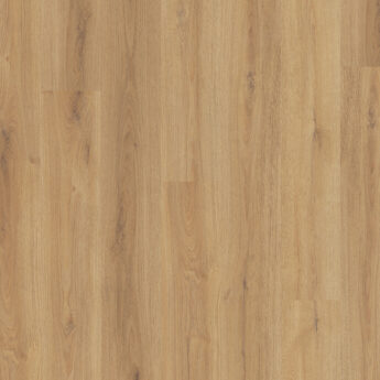 VINYL WPC 2002 DUB PRADO 8,0/0,55 MM 33/42 5G CLICK