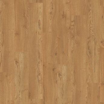 LAMINÁT 2856 DUB OLCHON HONEY 4V 8/32 24h C-it