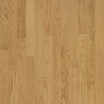 1L AM DUB CORSICA AB KARTÁČOVANÝ LAK P+D