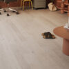 VENEER FL OAK DALEN POWDER WHITE BLEND MAT LACQ 4V 5G