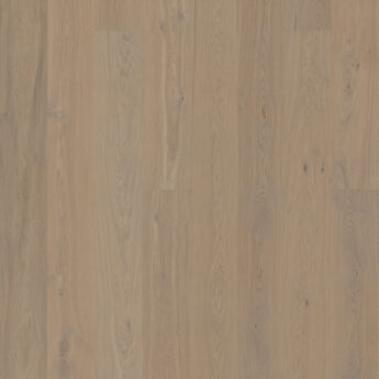VENEER FL OAK STEHAG NATURE GREY MATT LACQ 4V 5G