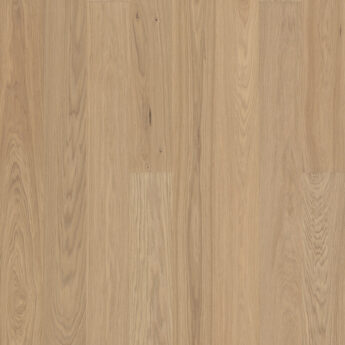 VENEER FL OAK STENINGE BLEND MISTY WHITE LACQ 4V 5GDry