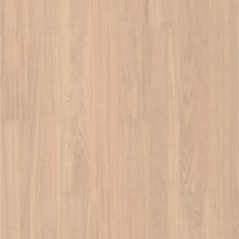 OAK VISTA WHITE MAT LACQ 5G Dry